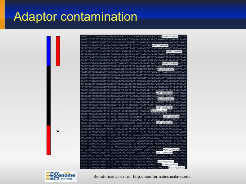 AdapterContamination.jpg